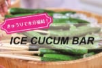 水分補給は冷やしきゅうりで！？ 連日続く猛暑を乗りきる「ICE CUCUM BAR」プロジェクト！ 1日限定の親子イベントに潜入！