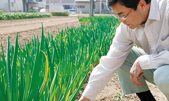 伝統野菜・在来種を育てる生産者！群馬県、利根川みどりの会