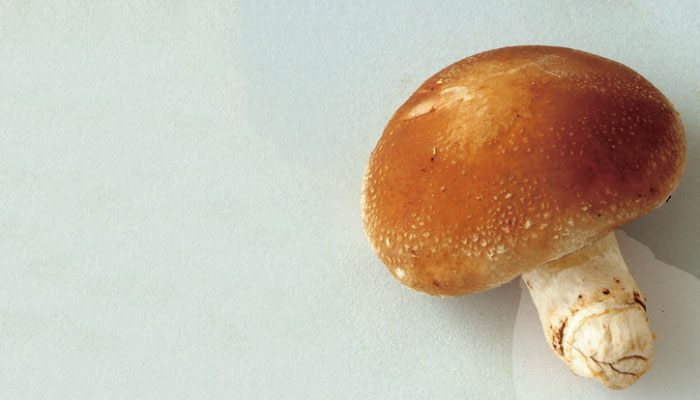 しいたけの豆知識！「しいたけの保存方法と焼き方」