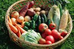 【野菜はらでぃっしゅぼーや】8月31日は「野菜の日」。「野菜選びのポイント」や「調理に困る野菜」とは。