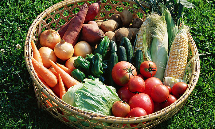 8月31日は「野菜の日」。「野菜選びのポイント」や「調理に困る野菜」を公開。
