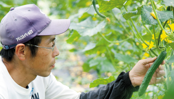 自根（じこん）きゅうりの産地・生産者「群馬県高崎市くらぶち草の会」