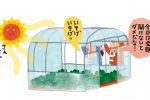 野菜のハウス栽培のメリットとは