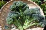 【アンケート企画】ブロッコリーの好きな食べ方は？