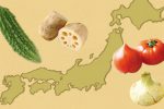 「黒ボク」「グライ土」「赤黄色土」「ジャーガル」野菜と生かし合う4つの土の種類とは。