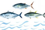 らでぃっしゅポケット「3月の人気記事ランキング」