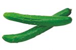 【保存版】おいしいきゅうりの見分け方。夏野菜きゅうりの旬・調理・保存方法。