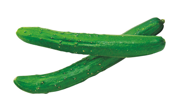 【保存版】おいしいきゅうりの見分け方。夏野菜きゅうりの旬・調理・保存方法。
