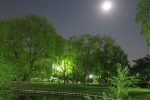 夏休みに子どもと探検！東京名所・都心に住む生物たち