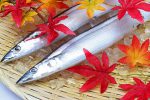 【作り置きレシピ】秋に旬を迎えるサンマの常備菜おすすめ3選