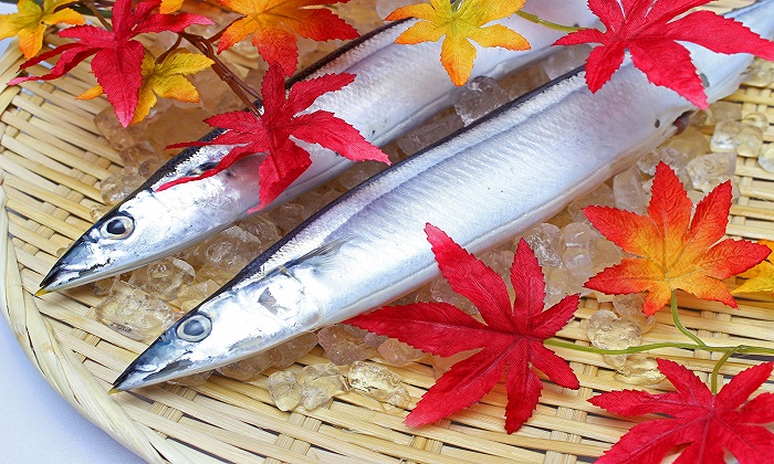 【作り置きレシピ】秋に旬を迎えるサンマの常備菜おすすめ3選