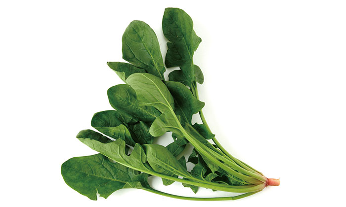 【珍しくておいしい野菜】「日本ほうれん草」とは