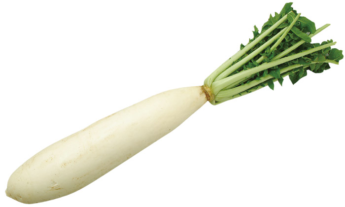 【珍しくておいしい野菜】「三浦大根」とは