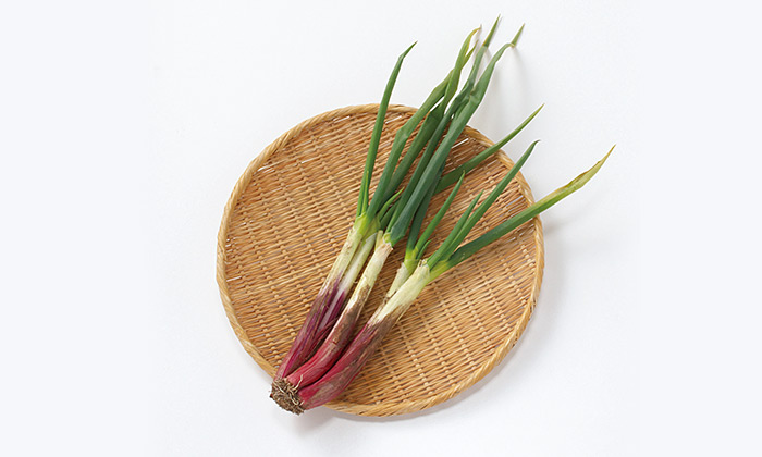 【珍しくておいしい野菜】やわらかさが自慢の赤いネギ「赤ねぎ（赤ひげ）」とは
