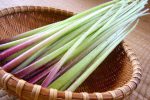 春野菜「ふき」の旬はいつ？栄養素とおすすめの食べ方