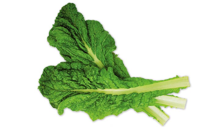 【珍しくておいしい野菜】縁起もの野菜「鰹菜（かつおな）」とは