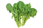 【珍しくておいしい野菜】飢饉を救った野菜「のらぼう菜」