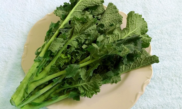 【珍しくておいしい野菜】甘みがあって栄養も豊富「宮内菜」