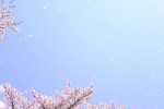 春を感じるおすすめのレシピを紹介