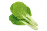 【珍しくておいしい野菜】「大阪しろ菜」