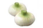 【珍しくておいしい野菜】辛味が少なく柔らかい愛知白玉ねぎ