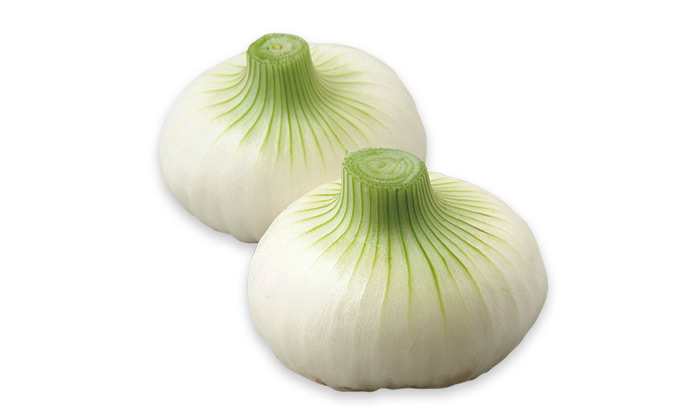 【珍しくておいしい野菜】辛味が少なく柔らかい愛知白玉ねぎ