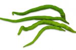 【珍しくておいしい野菜】甘いとうがらし？奈良に伝わる大和野菜ひもとうがらし