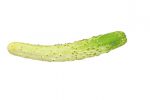【珍しくておいしい野菜】自然がつくりだした芸術品！「相模半白(さがみはんじろ)きゅうり」