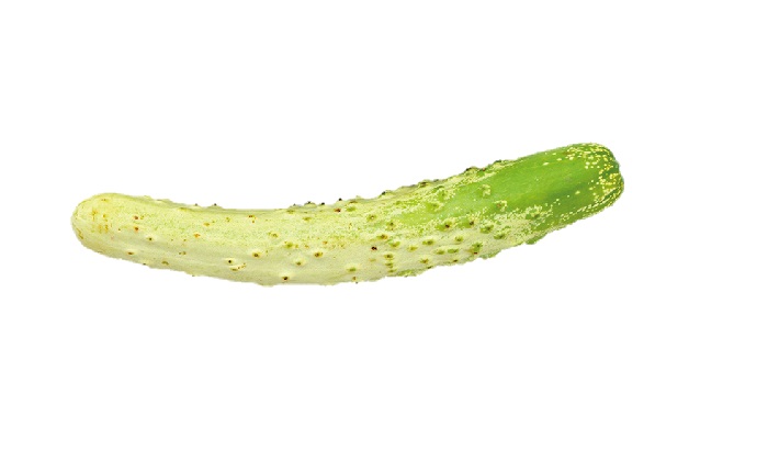 【珍しくておいしい野菜】自然がつくりだした芸術品！「相模半白(さがみはんじろ)きゅうり」