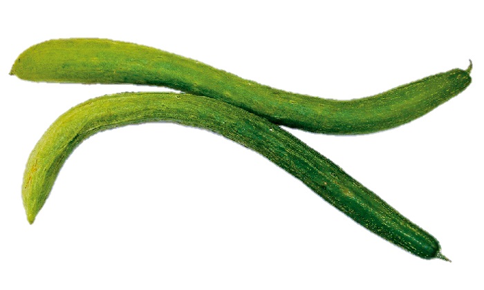 【珍しくておいしい野菜】浅漬けがおいしい「大和三尺(やまとさんじゃく)きゅうり」