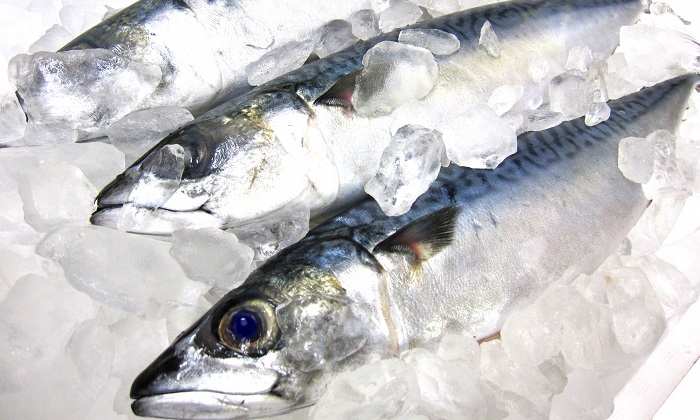 タラやブリは冬が旬！脂の乗った魚を堪能しよう