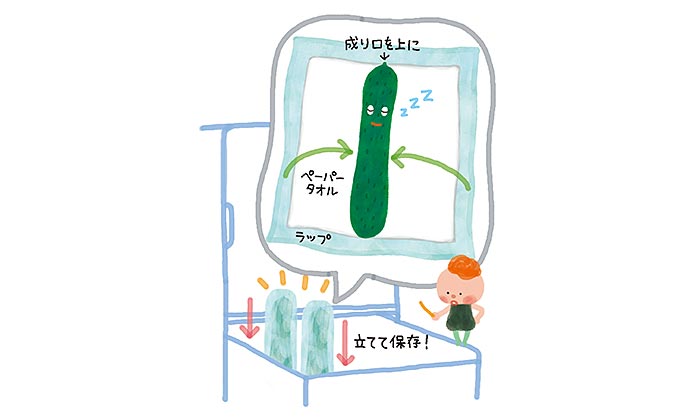 きゅうりの保存