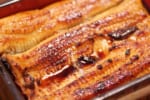 日本人の食文化として根付いてきた“うなぎ”が絶滅の危機!？「価値観の再定義」をテーマに持続可能な“土用丑の日”へのらでぃっしゅぼーやの取り組みを紹介