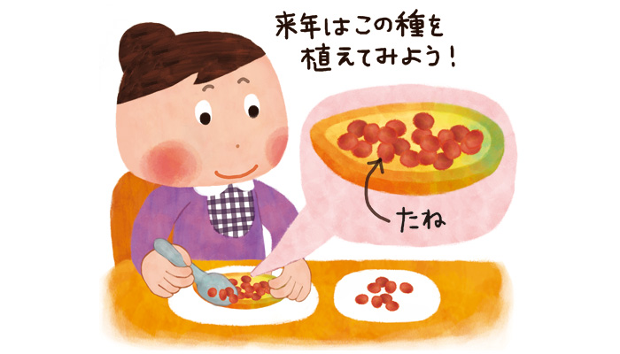 グリーンカーテンのイラスト