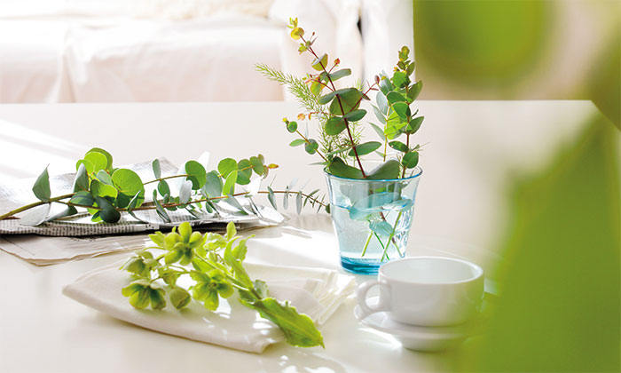 植物グッズ写真